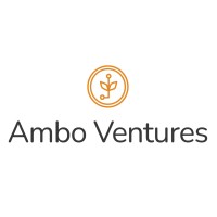 Ambo Ventures logo - Similar company to African Tech Industry Club