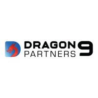 Dragon9 Partners CIO Advisory Services logo - Similar company to Dragon9 Partners