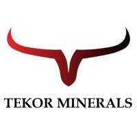 Tekor Minerals logo - Similar company to Reflectra