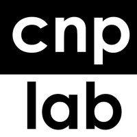 The Computational Neuropsychiatry Lab logo - Similar company to Crg Engineering Ltd.