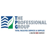 The Professional Group logo - Similar company to Quality Line Services Llc