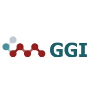 Grupo De Gestão Da Informação - Ggi
