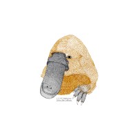 Ornitorrinco Collective logo - Similar company to Redoit