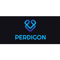 Perdigon Group logo - Similar company to Switchbase
