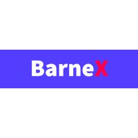 barnex.net logo - Similar company to Barnex (Commercial)