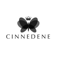 Cinnedene Studios logo - Similar company to Ceo Golf