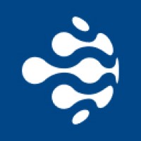 True Digital Solutions India Pvt Ltd logo - Similar company to Walsoft