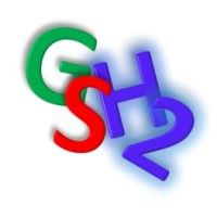 GSH2 Grüner Strom zu Wasserstoff logo - Similar company to Expert Bad Waldsee Gmbh
