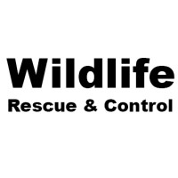 Wildlife Rescue & Control Inc