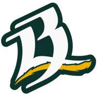 Bravos de León logo - Similar company to Anpic