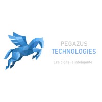 Pegazus Technologies logo - Similar company to Pegasus Consulting