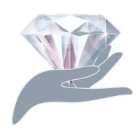 Diamond Cleaning Group WA logo - Similar company to The Mentor Online Group
