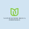 naturalnessdjava logo - Similar company to Aaria Rheumatology