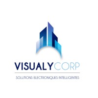 VISUALY CORPORATION EMEA logo - Similar company to Netgow