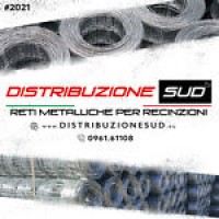 Distribuzione Sud logo - Similar company to Elettronic Auto Solution