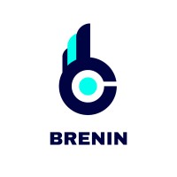 Brenin Inc. logo - Similar company to Open Innovations Lab