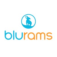 Blurams logo - Similar company to Yi Technology
