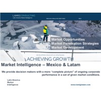 LAMIG CONSULTING logo - Similar company to Impulso Hd