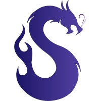 SPIDYHOST IT SERVICES PVT LTD logo - Similar company to Razorhost