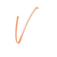 Vivaconsult GmbH logo - Similar company to Infona