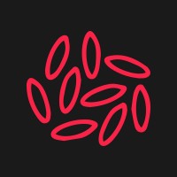 ROBOTS 4 SUSHI logo - Similar company to Webot Robotics