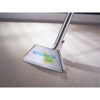ServiceMaster Clean Professional Building Maintenance logo - Similar company to Gges Facility Support Services
