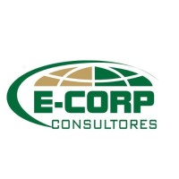E-Corp Consultores logo - Similar company to G.Network