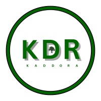 Kaddora Tech logo - Similar company to Infoace