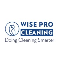 Wise Pro Cleaning LLC logo