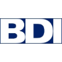 BDI CORPORATIVO logo - Similar company to Tietro Constructores, S.A. De C.V.