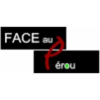 FACE au Pérou logo - Similar company to Yellowsun