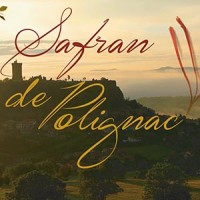 Safran de Polignac