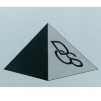 DCS HOMES PVT LTD logo - Similar company to Msn Institutes For Civil Engineers