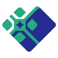 VISEMI Foundation logo - Similar company to Vietsemi Technology
