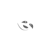 ERSYA logo - Similar company to Alphace