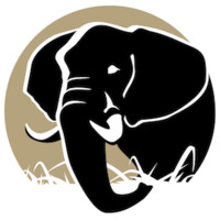 Forgotten Parks Foundation logo - Similar company to Upemba National Park (Unp)