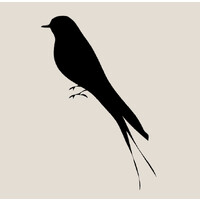 The Mockingbird Review logo - Similar company to Art For Covid Indonesia