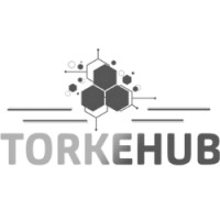 TorkeHub logo - Similar company to Derive Global Solutions
