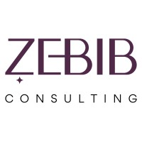 Zebib Consulting AS logo - Similar company to Trainee Finnmark