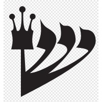 Sholom Consulting logo - Similar company to Graceful Finance