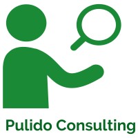 Pulido Consulting logo - Similar company to Imagem E Diagnóstico