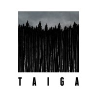 Taiga
