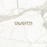 Calacatta logo - Similar company to Calacatta Projects