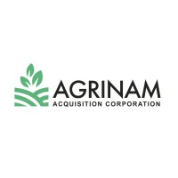 Agrinam Acquisition Corp logo - Similar company to Blue Energy And Electricity