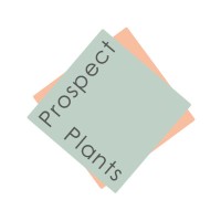 Prospect Plants logo - Similar company to S V Studio