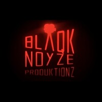 Blaqk Noyze Produktionz, LLC logo - Similar company to Flux Projects