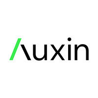 Auxin Gestão Financeira Inteligente logo - Similar company to Cfo Pack