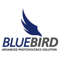 Bluebird Photovoltaics logo - Similar company to Mediapixels