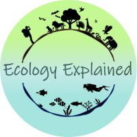 Ecology Explained logo - Similar company to Yellowknack Solutions