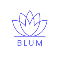 BLUM Consultora logo - Similar company to Mi Brújula